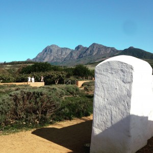 Babylonstoren Farm in Cape Town